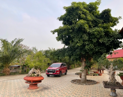 Khu nghỉ dưỡng Tuyết Phượng – Điểm đến nghỉ dưỡng lý tưởng cho không gian thư giãn trọn vẹn